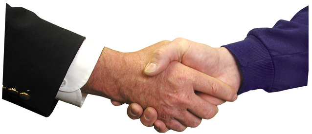 Business owner and consultant shake hands